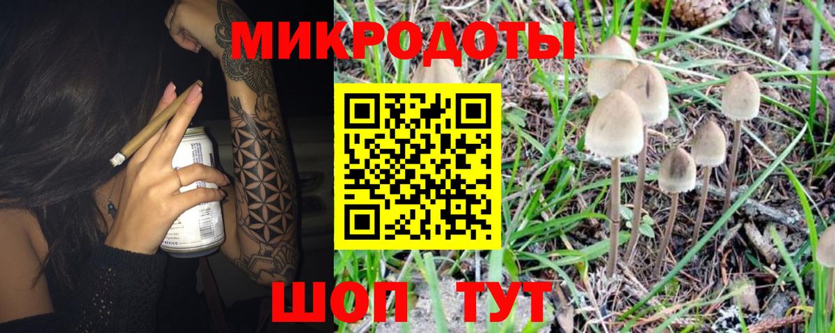 Галлюциногенные грибы Magic Shrooms  Вход с VPN  Партизанск 